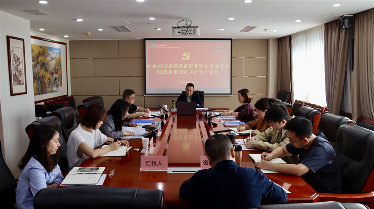 集團(tuán)公司召開2025年第12次黨委（擴(kuò)大）會議